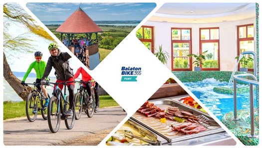 311619671 1867728993570478 7626903164848764796 n