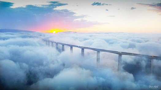 278141102 5724454717568602 7580838162814633560 n