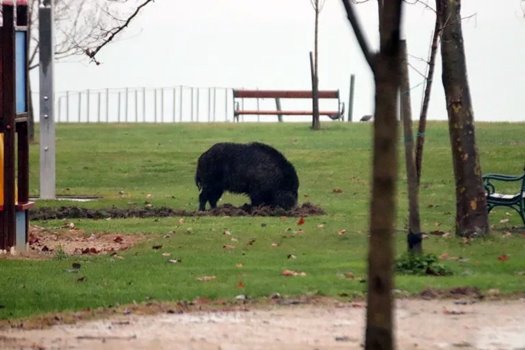 319070656 5841626032571066 4756328051817917874 n eredmény