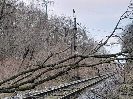 319345800 3402351393421630 4740932854119319775 n