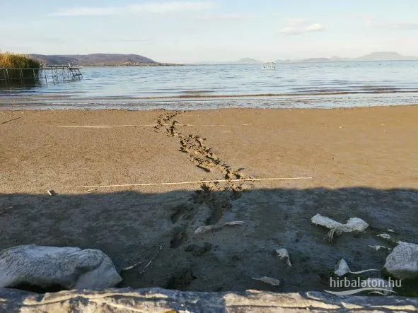 IMG 20221019 163542 eredmény