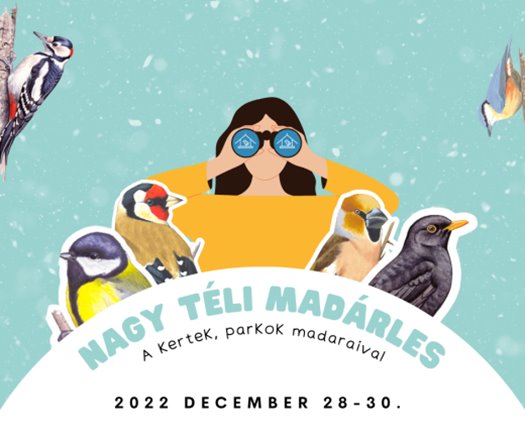 nagy teli madarles 3