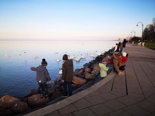 3106276JanuarelsohetvegejeSiofokRozsakertfotoKrauszAndrea