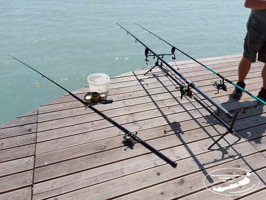 received 524834409309863