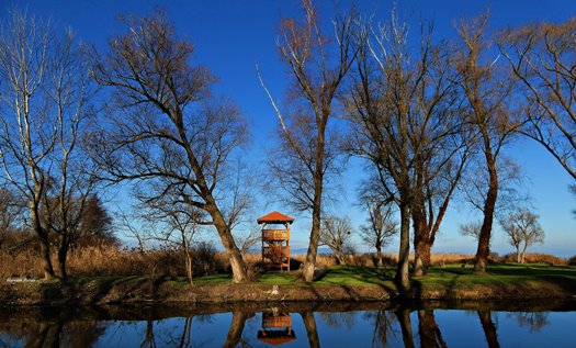 321483362 844517000210540 7749542274458990308 n