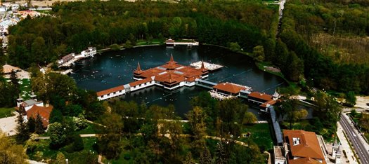 lombkorona kila to he vi z ko ro si tama s 0275.inbox1600x528