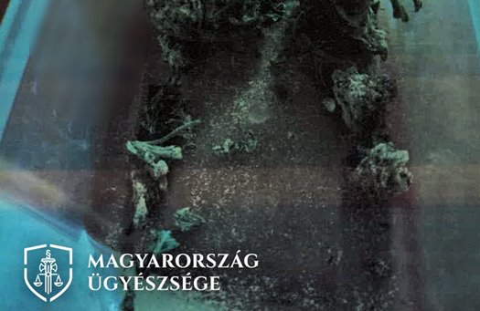 Kép1