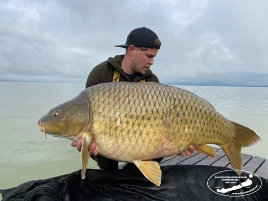 346080793 1219765795184452 8349894730226064274 n