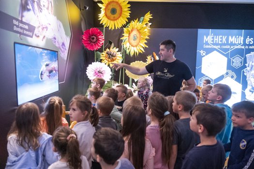 Mézes Gergő magyaráz a Zümmögés a múzeumban kiállításon