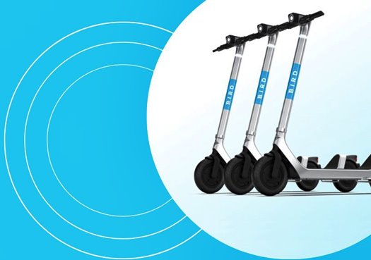 319984031 883806982612469 1315073072878967694 n