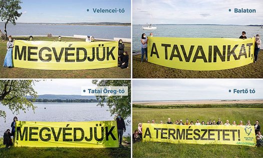 balaton termeszetvedelem udvaros dorottya greenpeace