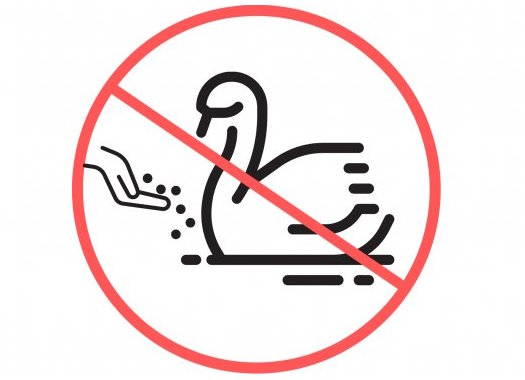 ne etesd a vizimadarat