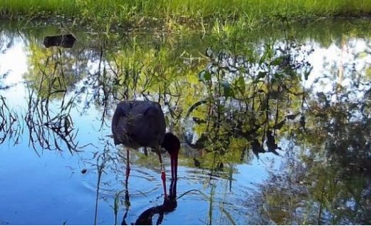 capture 20230630 103444