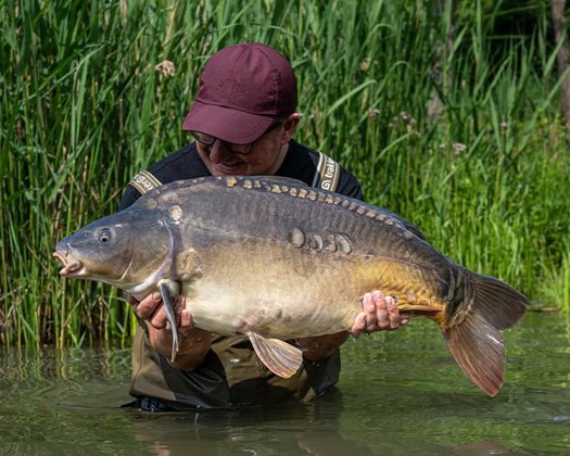 07a06eaf7c6c4035887d0c5a025dd963