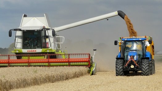 harvest 1523793 640