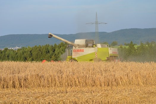 harvest 2696222 640