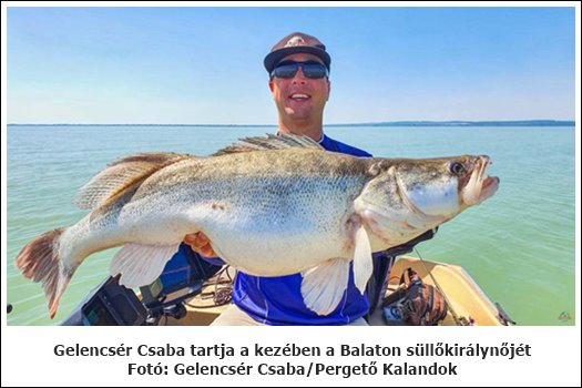 9659941Nagysullo10kg2023FotoGelencserCsabahivatalos