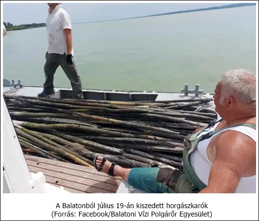 361946642 286735064034159 9207317149901820098 n