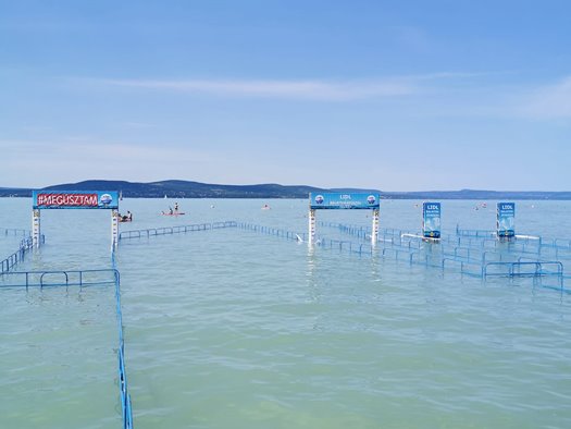 360132505 752852369971956 8179357510259567916 n