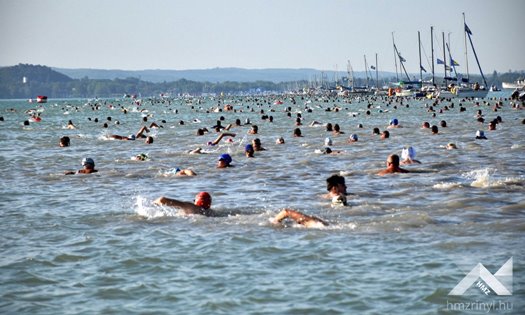 64b6c5ea31567996048847