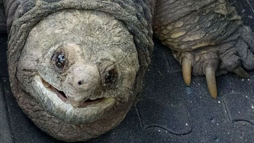 09029c7a7f434e6aa90145b8d934bbc3