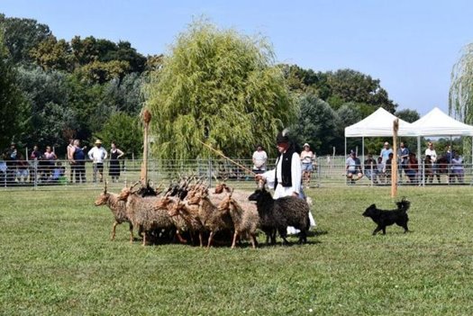 odlk terelo 1024x686 640