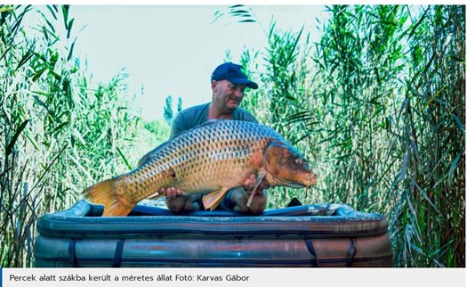 capture 20230812 132920