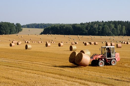 harvest 803479 640