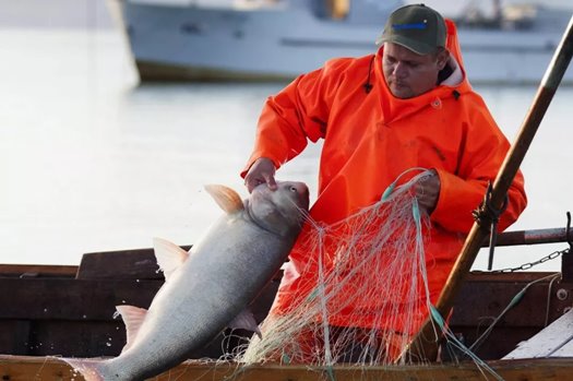 D VG20131022007 focuspointscale w1080 fx0 fy0