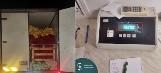cats2245