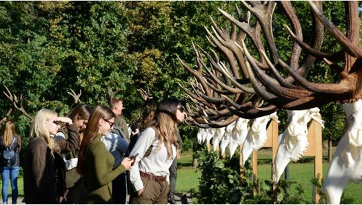 capture 20231013 092815