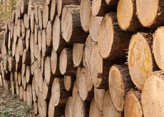 wood trunks 1032461 640