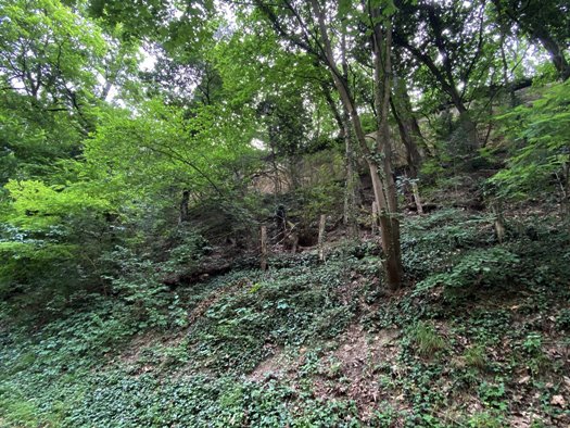 391743569 648253940801356 3762573891195487144 n