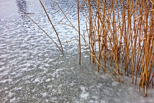 ice 3192151 640