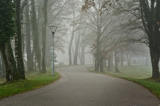 fog 4676816 640