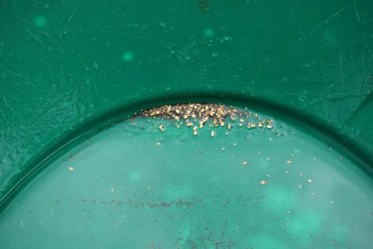 Days gold find 2 Read Only e1534959427946