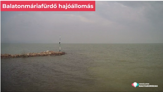 capture 20240302 102721
