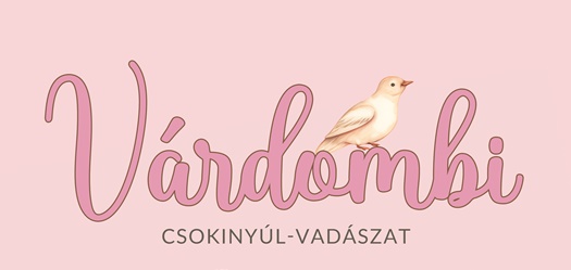 Plakat csokinyulvadaszat 24 1lead