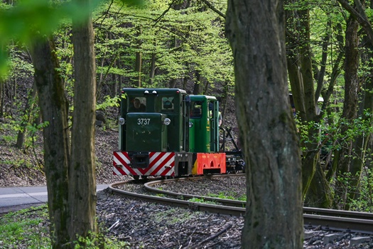 D MTZ20240404014