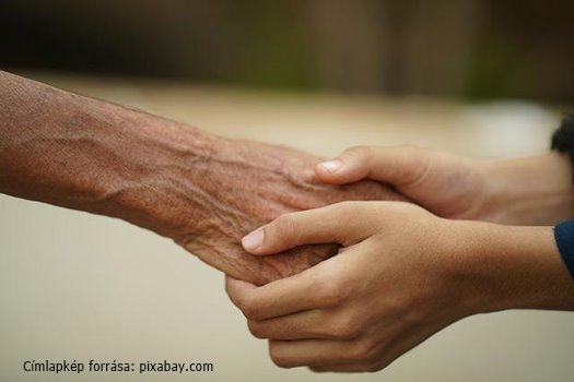 hands 5017314 640