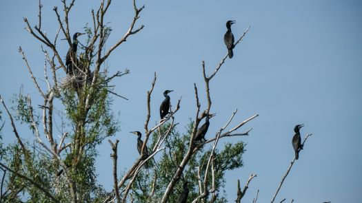 DSCF5157