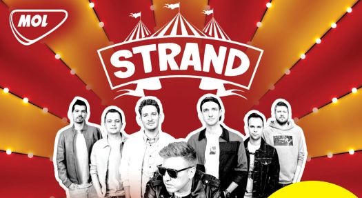 stand lead