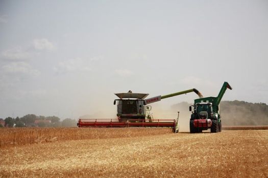 harvest 8192037 640