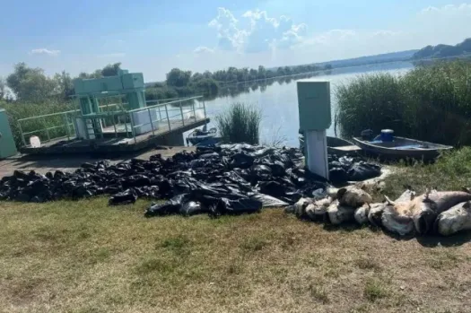 kis balaton5
