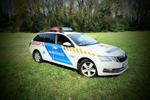 Skoda lead vignette 2