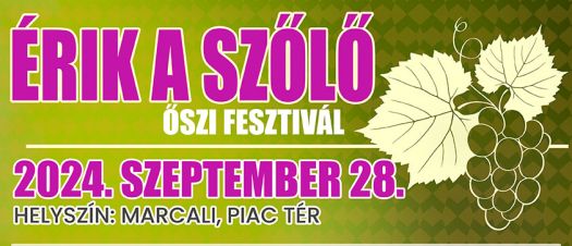 plakat erikaszolo 2024 A3 0928 web lead