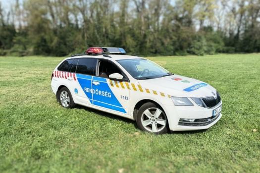 Skoda lead h 1