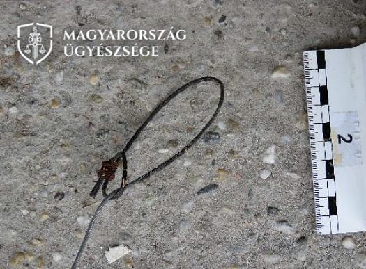1. kep a vadlott altal hasznalt hurok