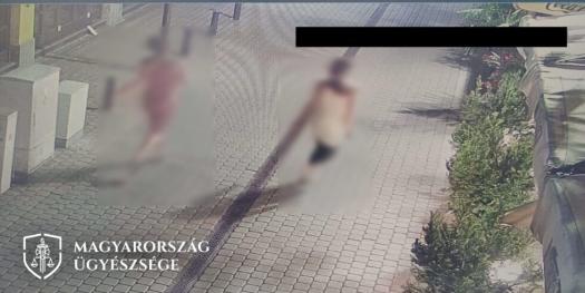 kep 1. biztonsagi kamera felvetel a tavozoban levo vadlottakrol 980x490