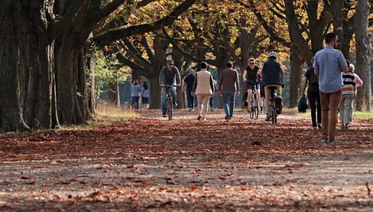 autumn 3731094 640